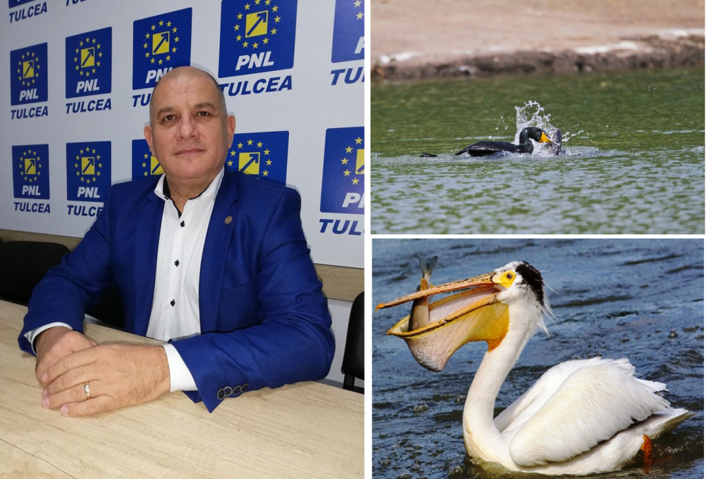 Deputatul Şişcu se ia de cormoranii ministrului Daea