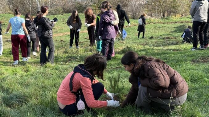 Asociația CSR Nest finalizează proiectul „Tinerii își construiesc un viitor sustenabil”